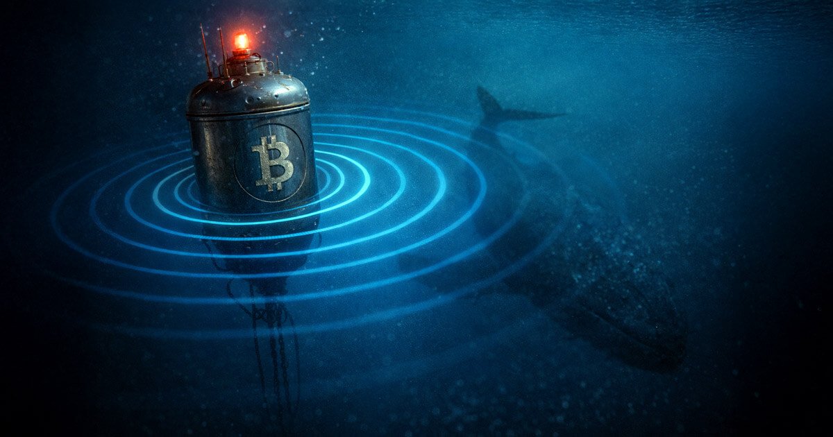 How one Bitcoin whale is absorbing the world’s entire daily mining supply as Bitcoin price faces ,000 friction How one Bitcoin whale is absorbing the world’s entire daily mining supply as Bitcoin price faces ,000 friction